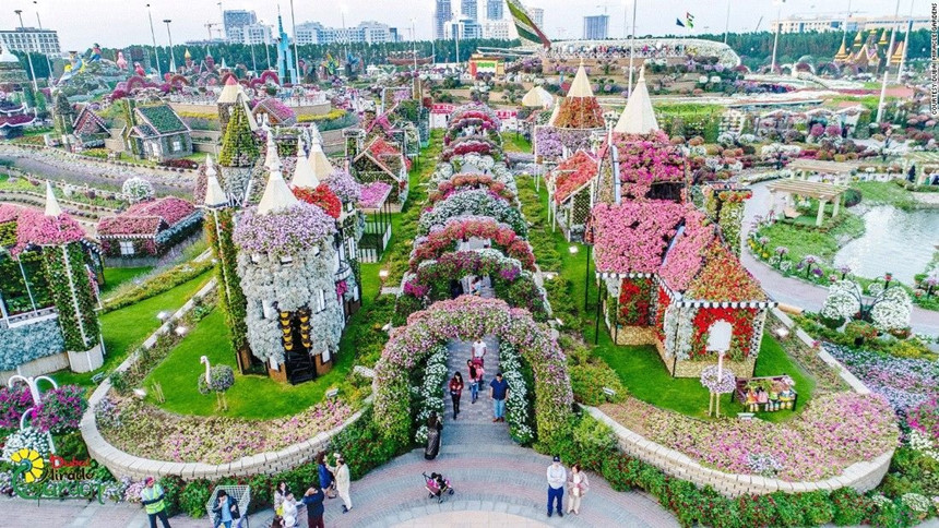 65[-]triệu[-]bông[-]hoa[-]rực[-]rỡ[-]giữa[-]Dubai[-]khô[-]cằn